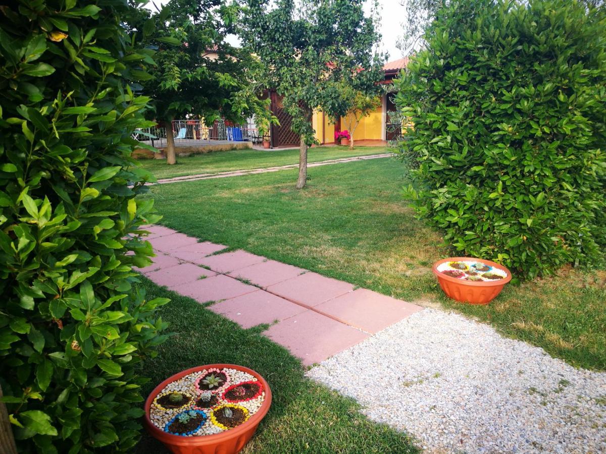 Agriturismo Alturetta Riotorto Exterior foto